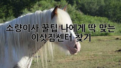 소량이사 꿀팁🍯: 나에게 딱 맞는 이삿짐센터 찾기!